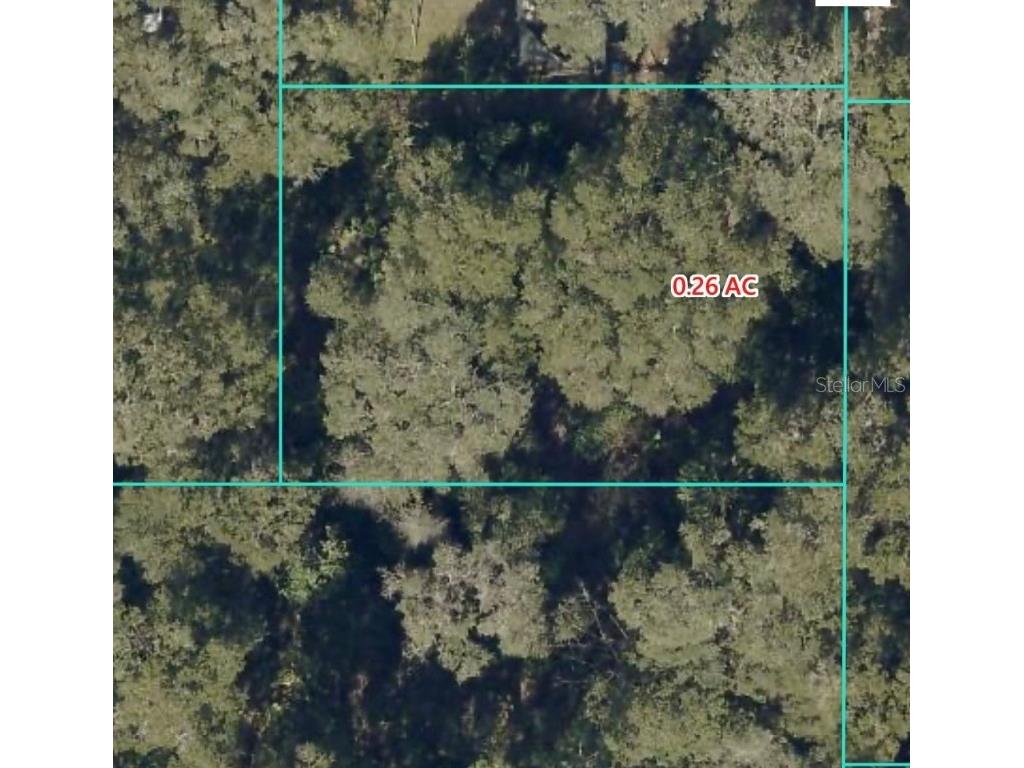 14383 SE 42nd Terrace Ocala FL 34491 OK225700 image1