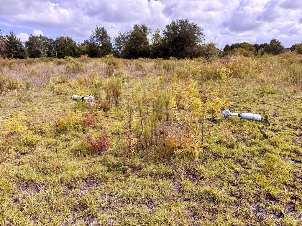 14385 SW Highway 484 Dunnellon FL 34432 W7879622 image13