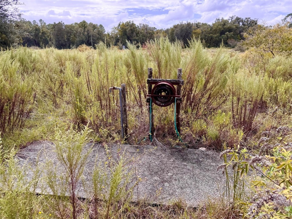 14385 SW Highway 484 Dunnellon FL 34432 W7879622 image9