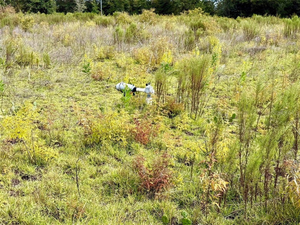 14385 SW Highway 484 Dunnellon FL 34432 W7879625 image14