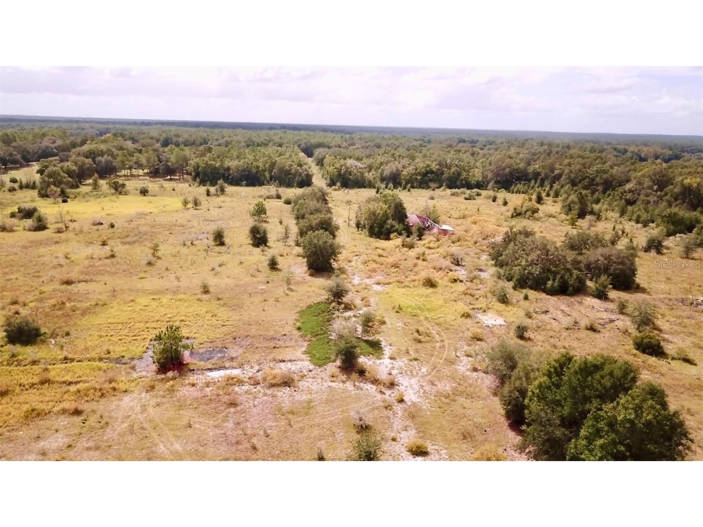 14385 SW Highway 484 Dunnellon FL 34432 W7879625 image7