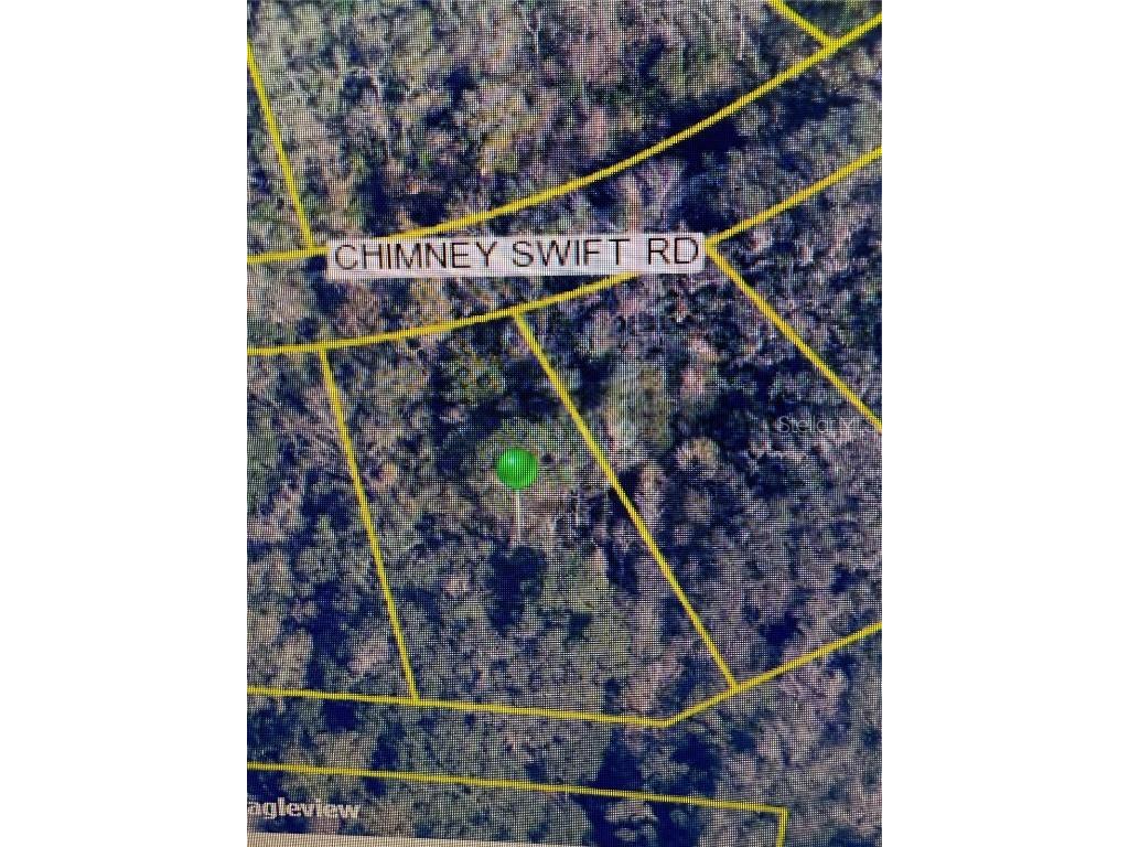 14388 Chimney Swift Road Weeki Wachee FL 34614 W7877923 image2