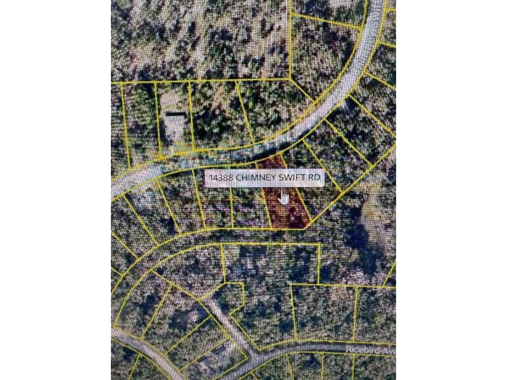 14388 Chimney Swift Road Weeki Wachee FL 34614 W7877923 image3