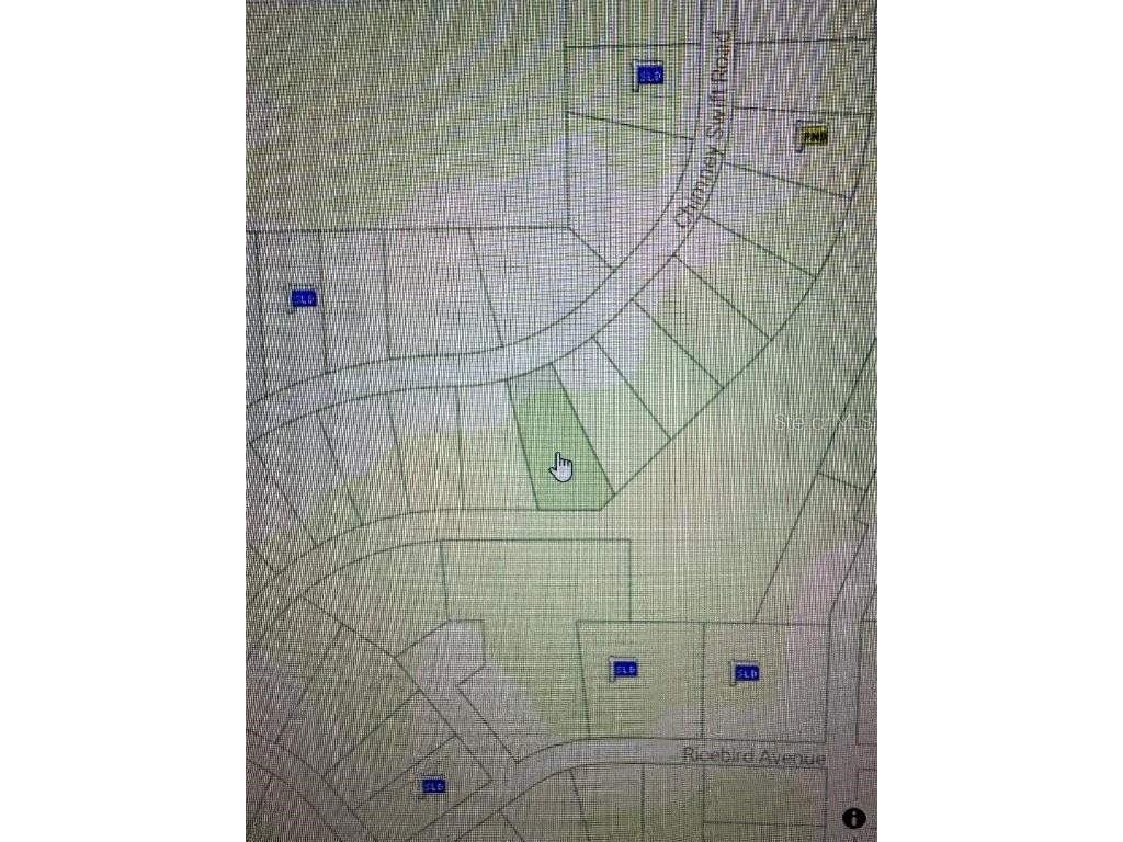 14388 Chimney Swift Road Weeki Wachee FL 34614 W7877923 image4