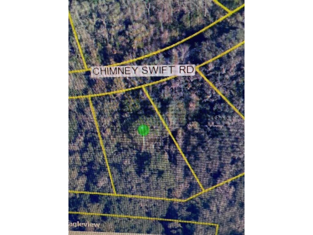 14388 Chimney Swift Road Weeki Wachee FL 34614 W7877923 image5