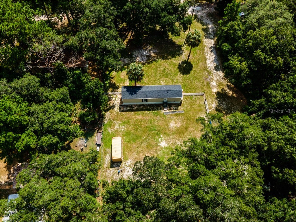 14388 NE 116th Terrace Fort Mc Coy FL 32134 OM684130 image3