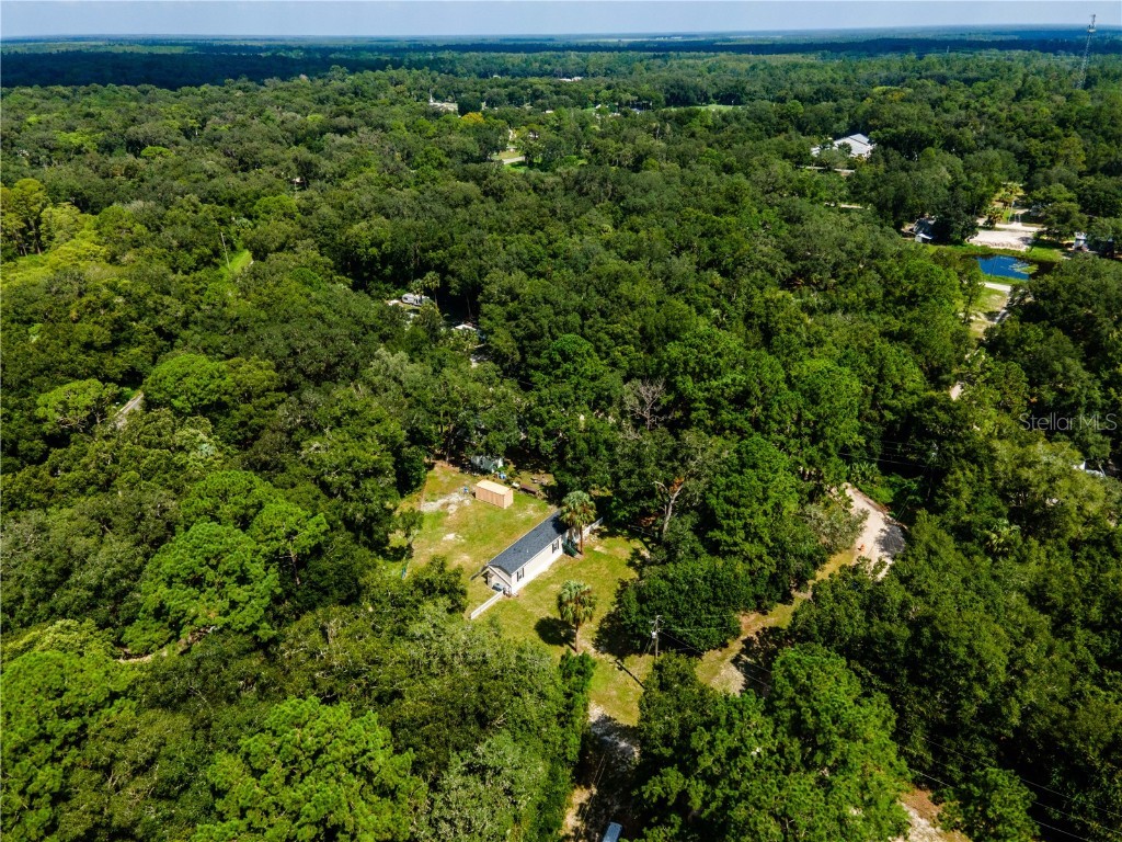 14388 NE 116th Terrace Fort Mc Coy FL 32134 OM684130 image34