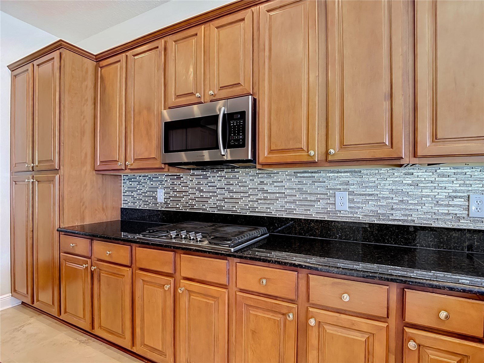 1439 Beaconsfield Drive Wesley Chapel FL 33543 TB8505227 image23