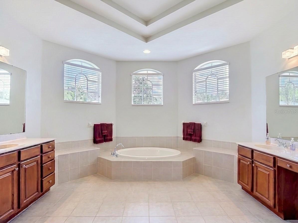 1439 Beaconsfield Drive Wesley Chapel FL 33543 TB8505227 image46