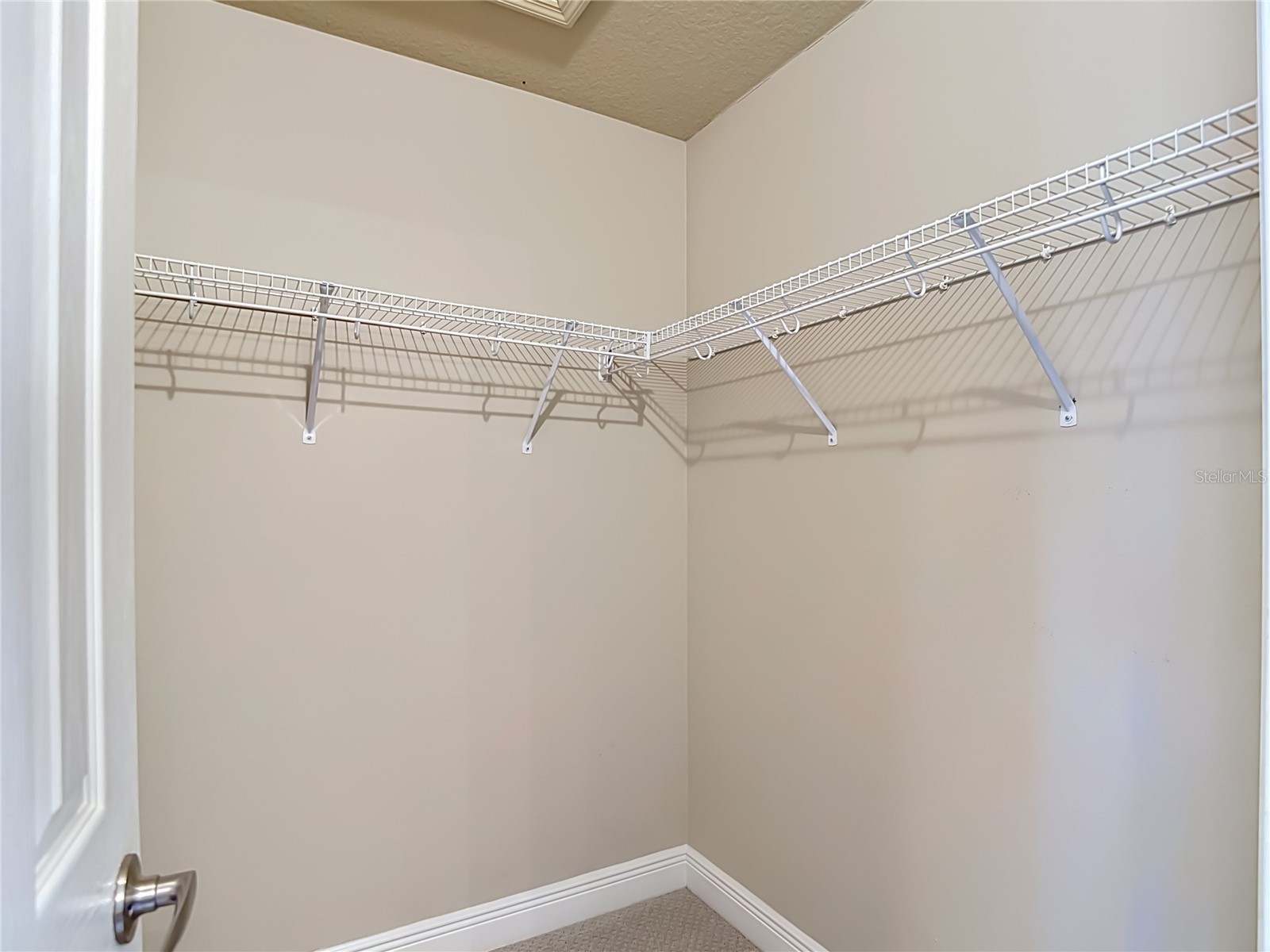 1439 Beaconsfield Drive Wesley Chapel FL 33543 TB8505227 image78