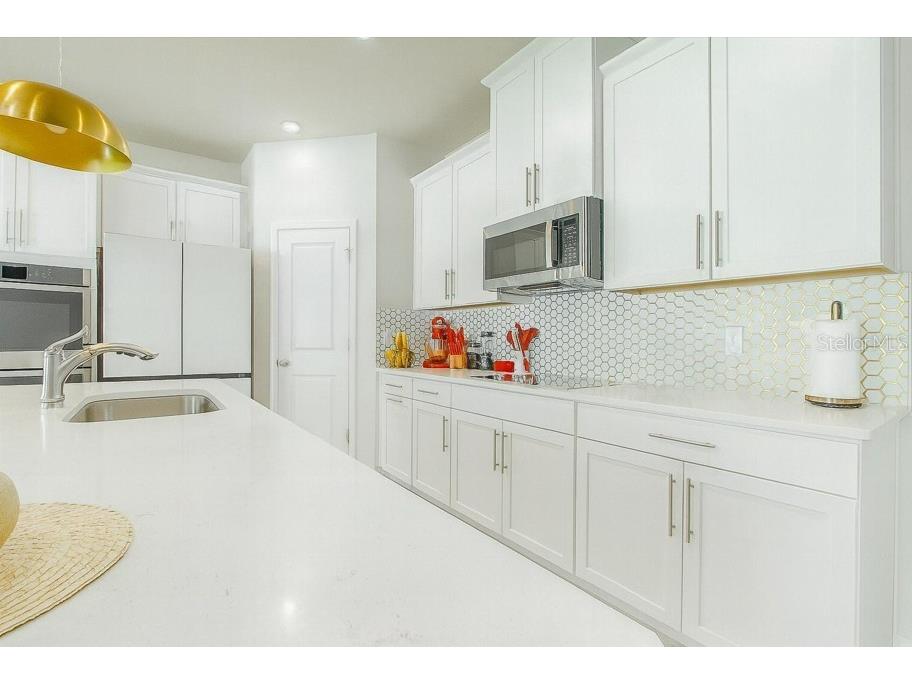 1439 Eucalyptus Way Davenport FL 33837 O6359118 image12