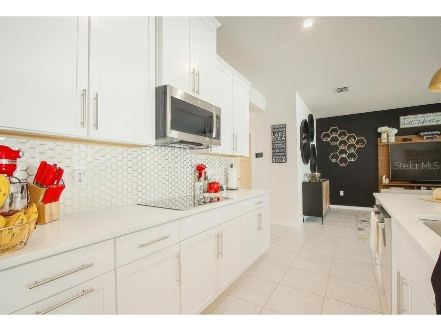 1439 Eucalyptus Way Davenport FL 33837 O6359118 image13