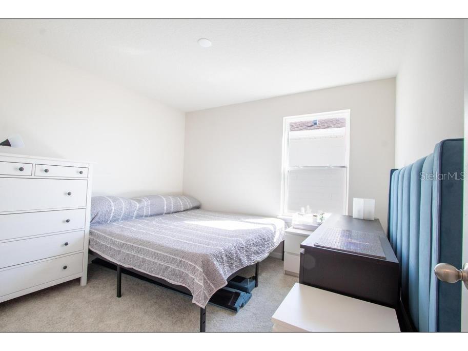 1439 Eucalyptus Way Davenport FL 33837 O6359118 image33