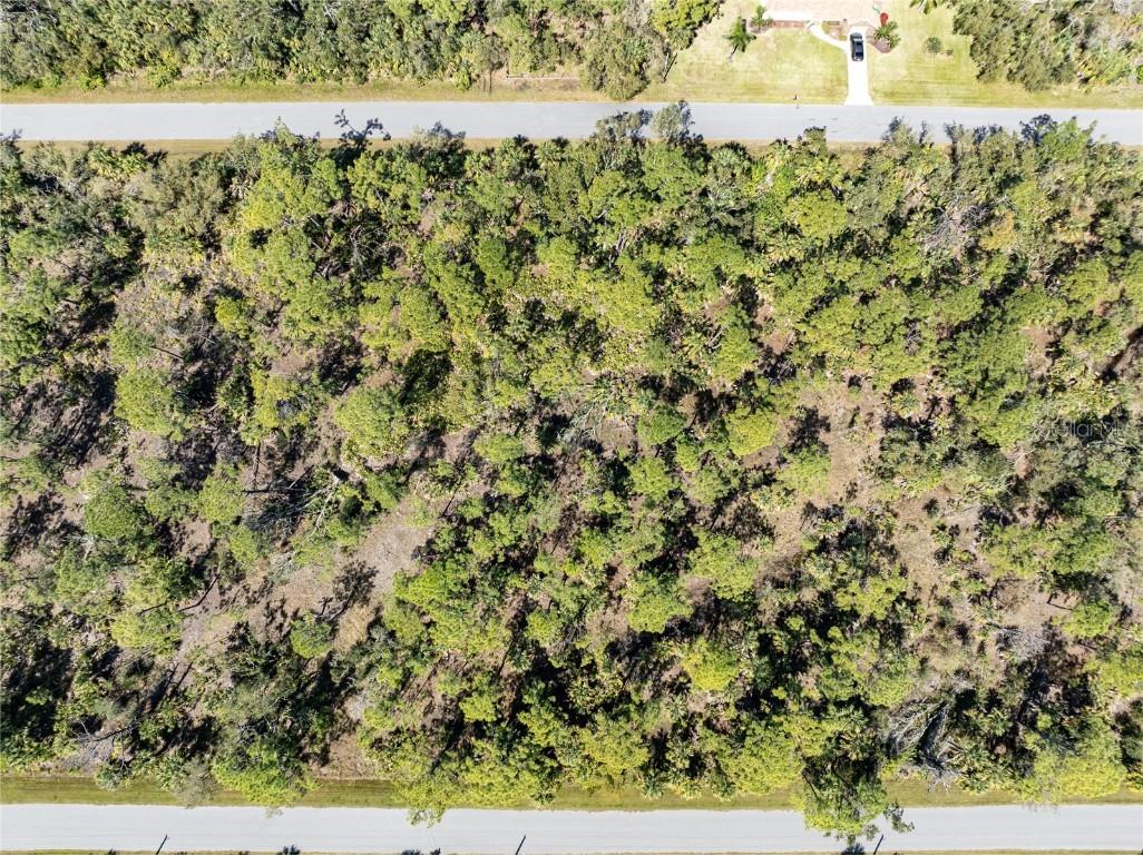 1439 Rambler Terrace Port Charlotte FL 33953 N6132174 image9