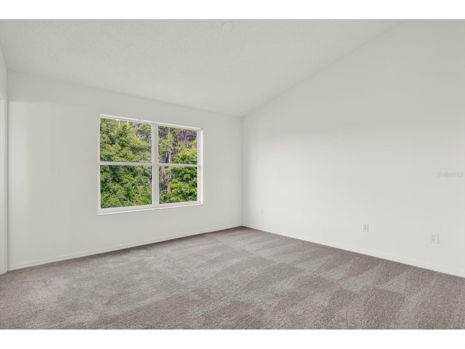 1439 Sedgwick Drive Wesley Chapel FL 33543 TB8503580 image11