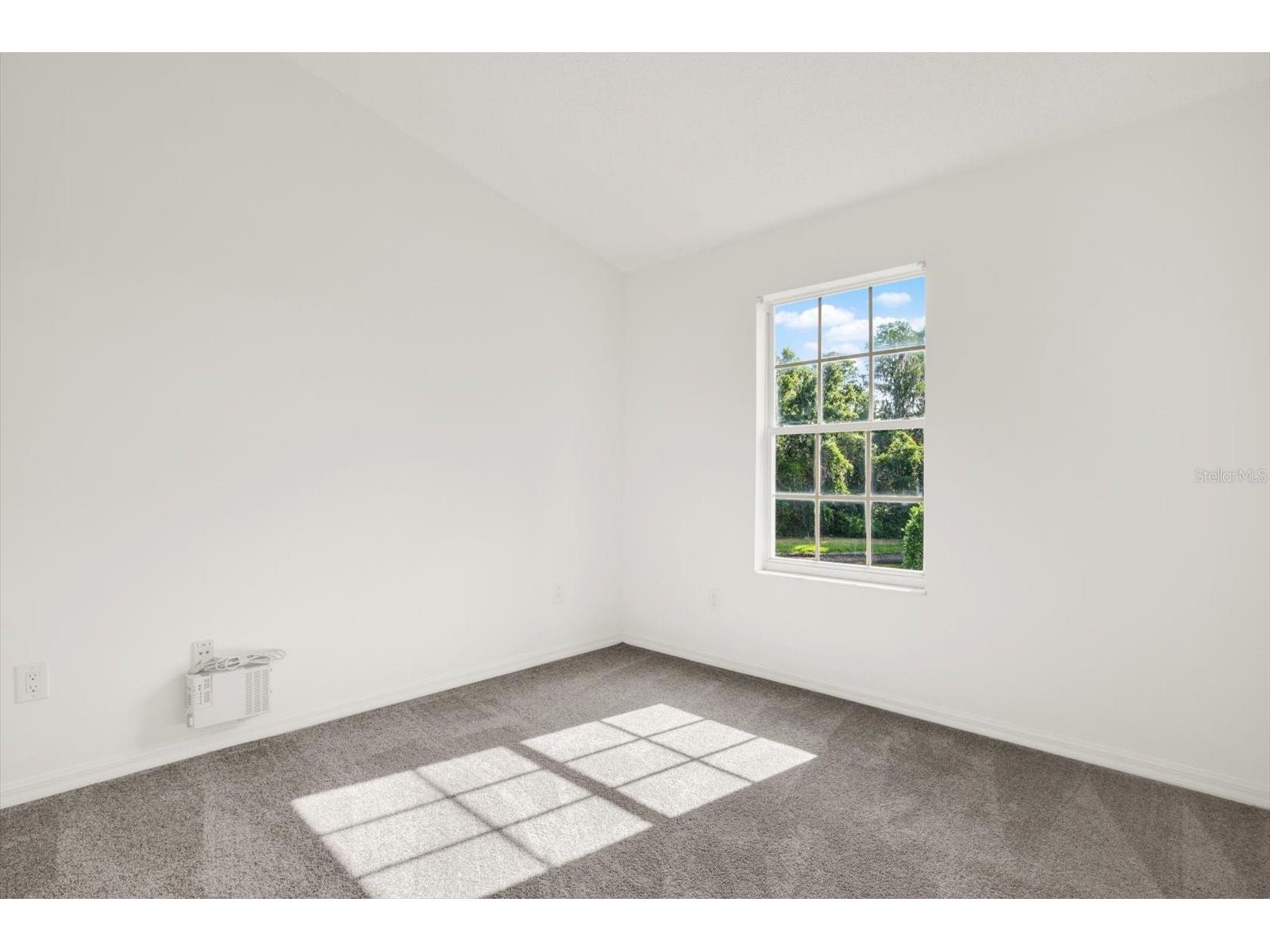 1439 Sedgwick Drive Wesley Chapel FL 33543 TB8503580 image15