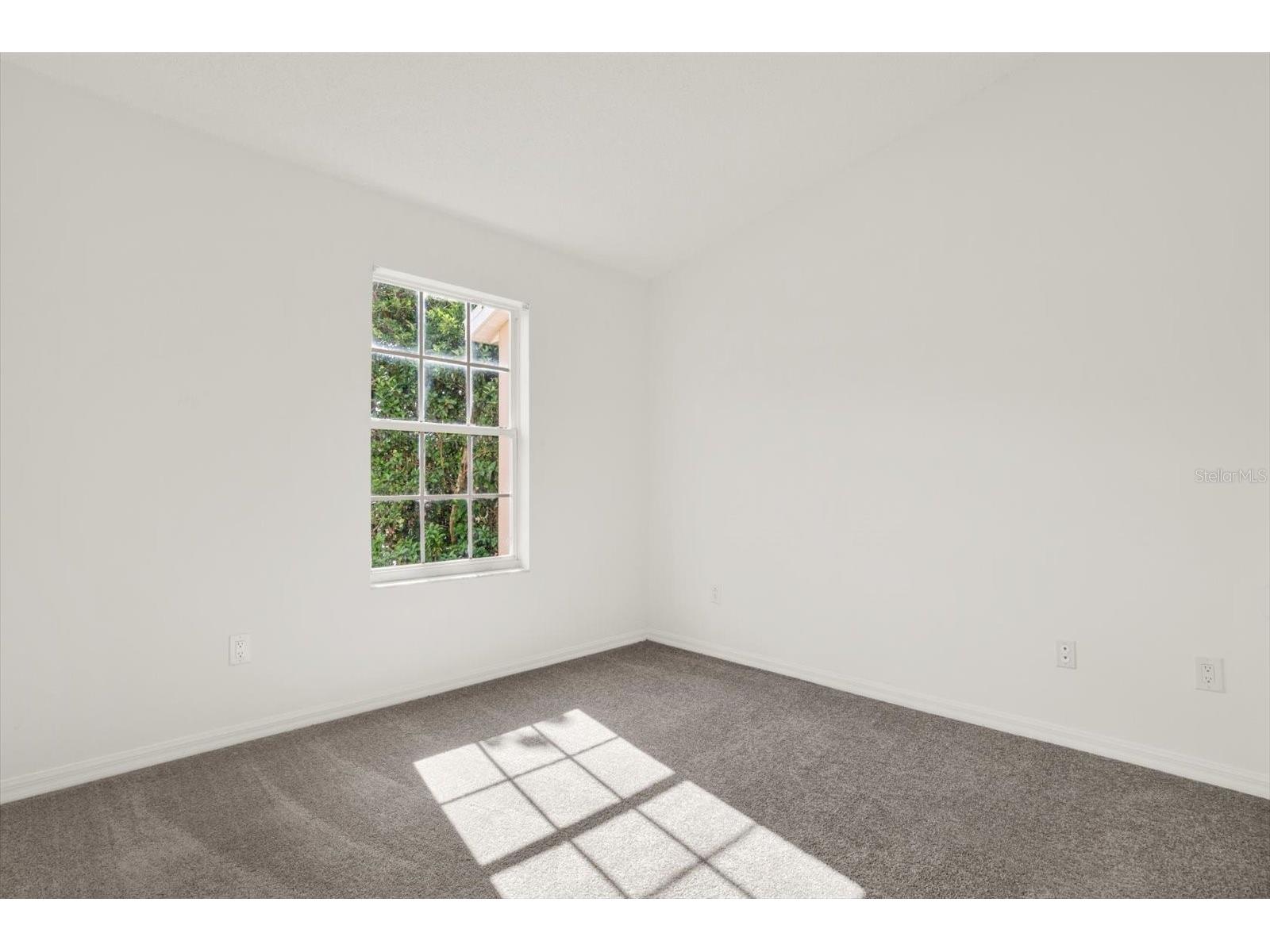 1439 Sedgwick Drive Wesley Chapel FL 33543 TB8503580 image17