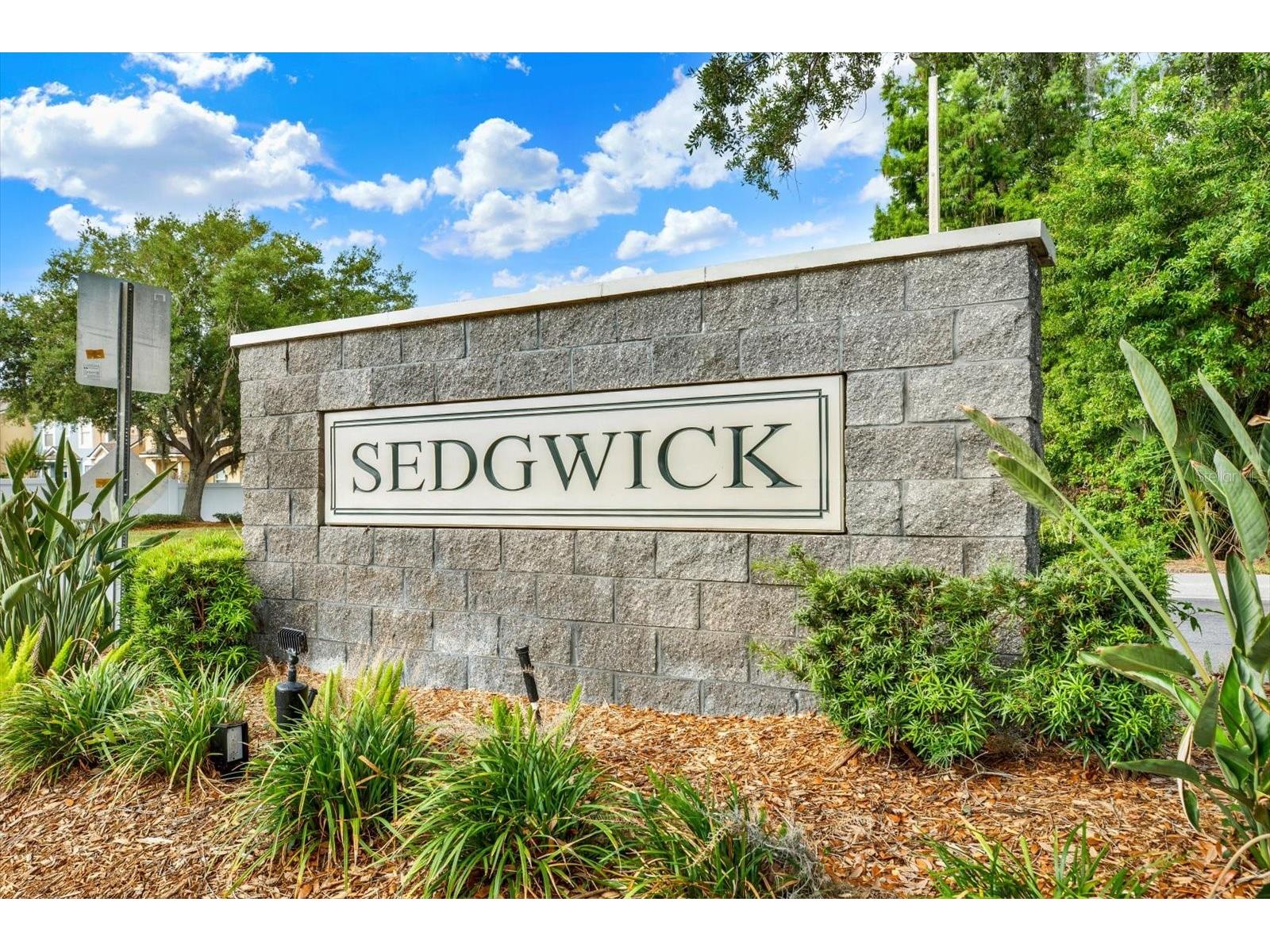 1439 Sedgwick Drive Wesley Chapel FL 33543 TB8503580 image25