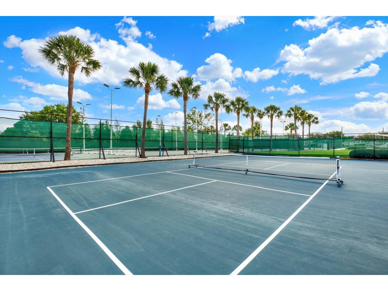 1439 Sedgwick Drive Wesley Chapel FL 33543 TB8503580 image33