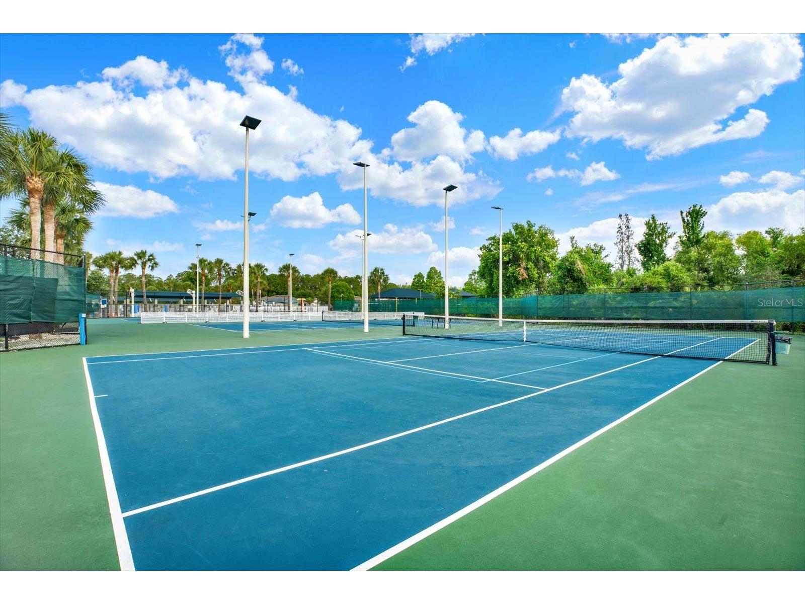 1439 Sedgwick Drive Wesley Chapel FL 33543 TB8503580 image34