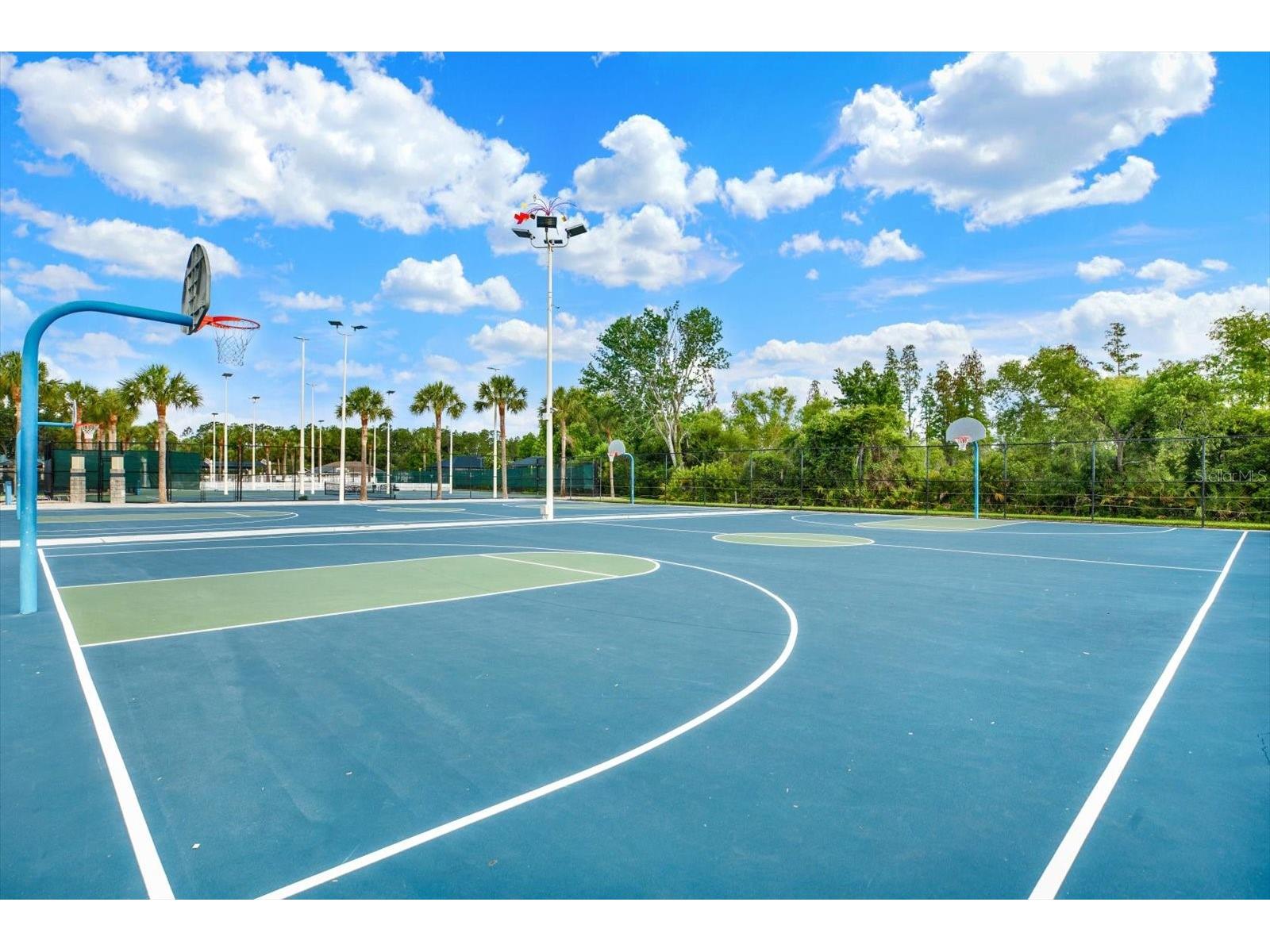 1439 Sedgwick Drive Wesley Chapel FL 33543 TB8503580 image36