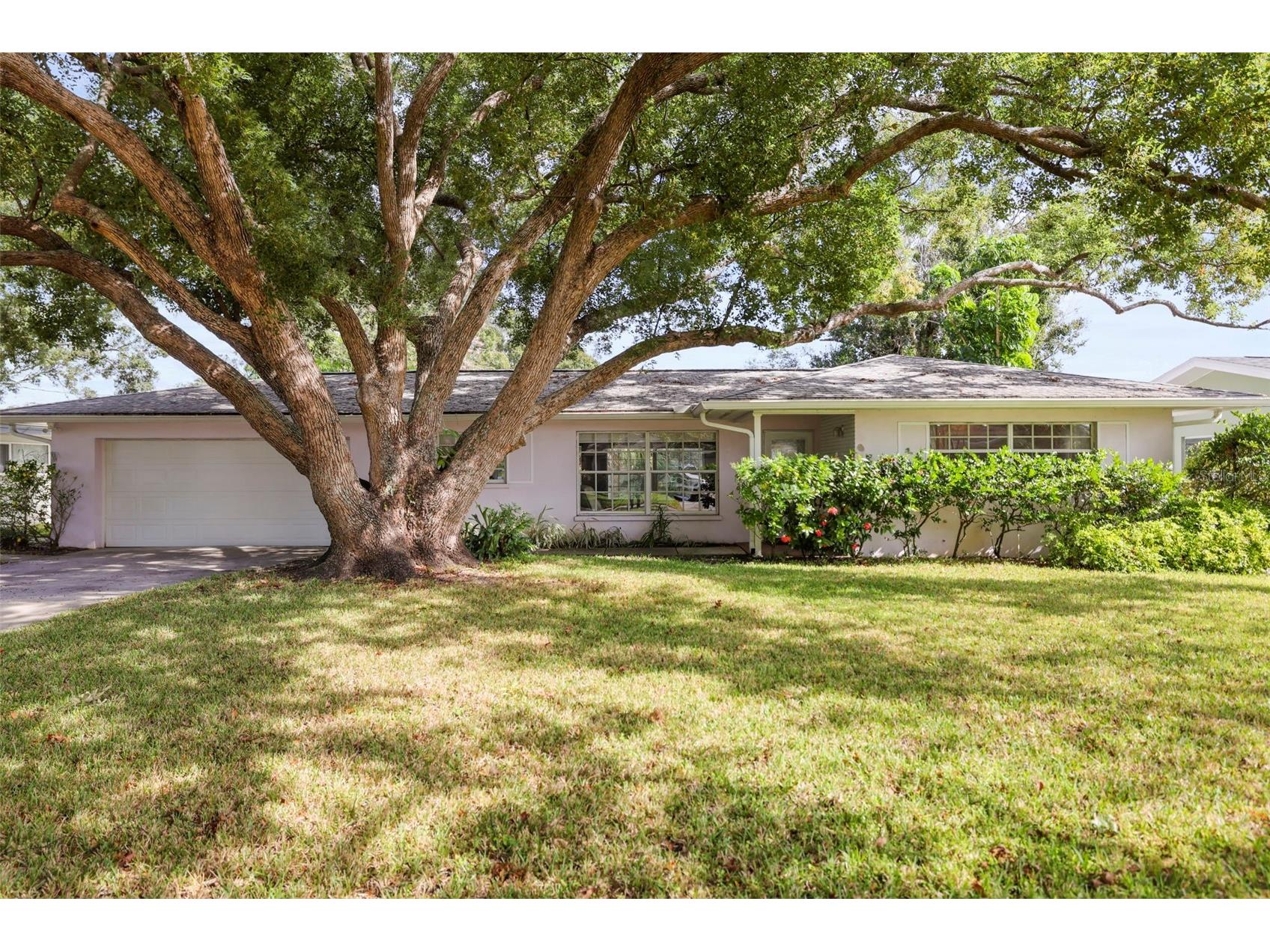 1439 Viewtop Drive Clearwater FL 33764 TB8447572 image1