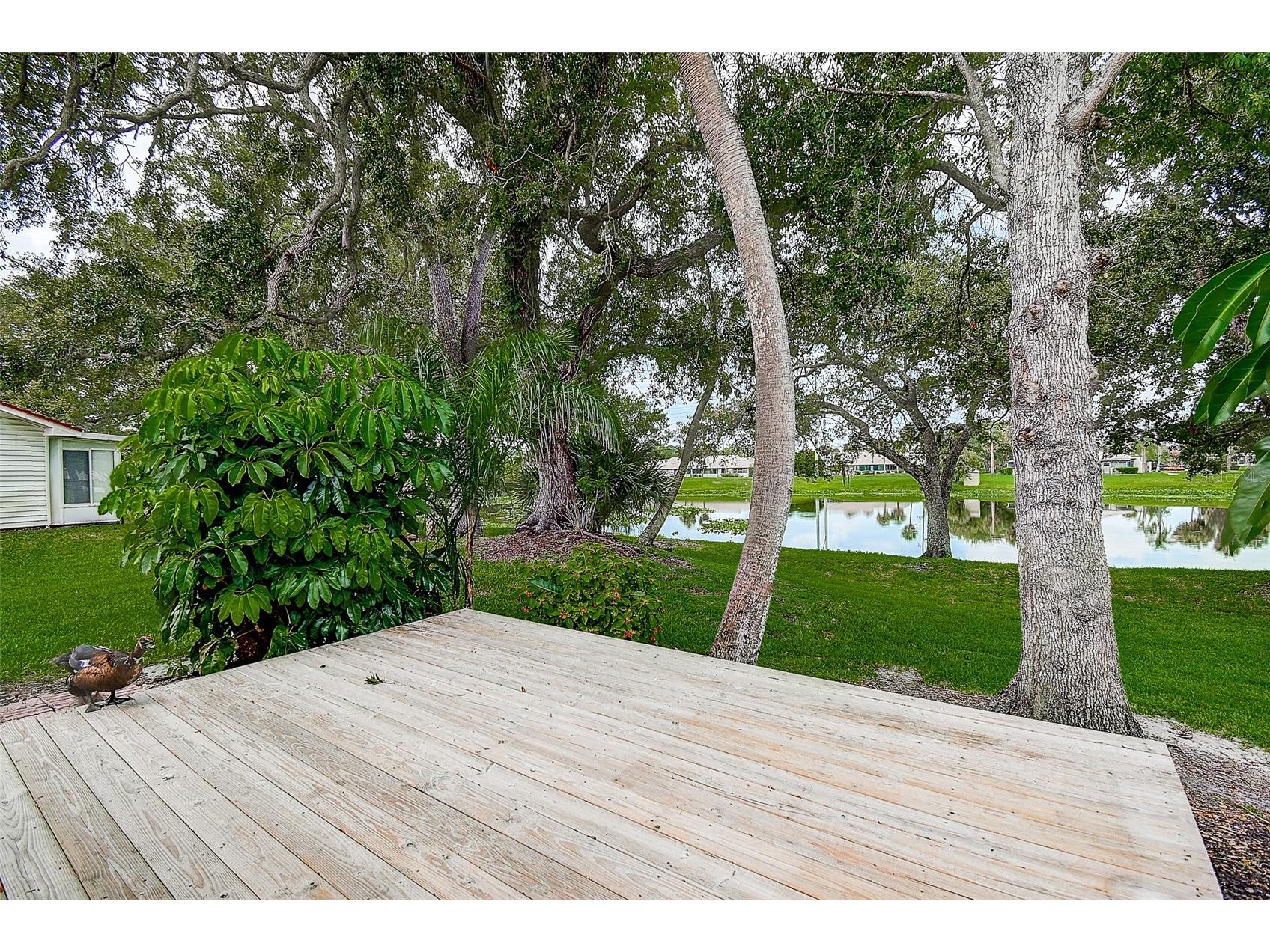 1439 Water View Drive W Largo FL 33771 TB8528906 image28