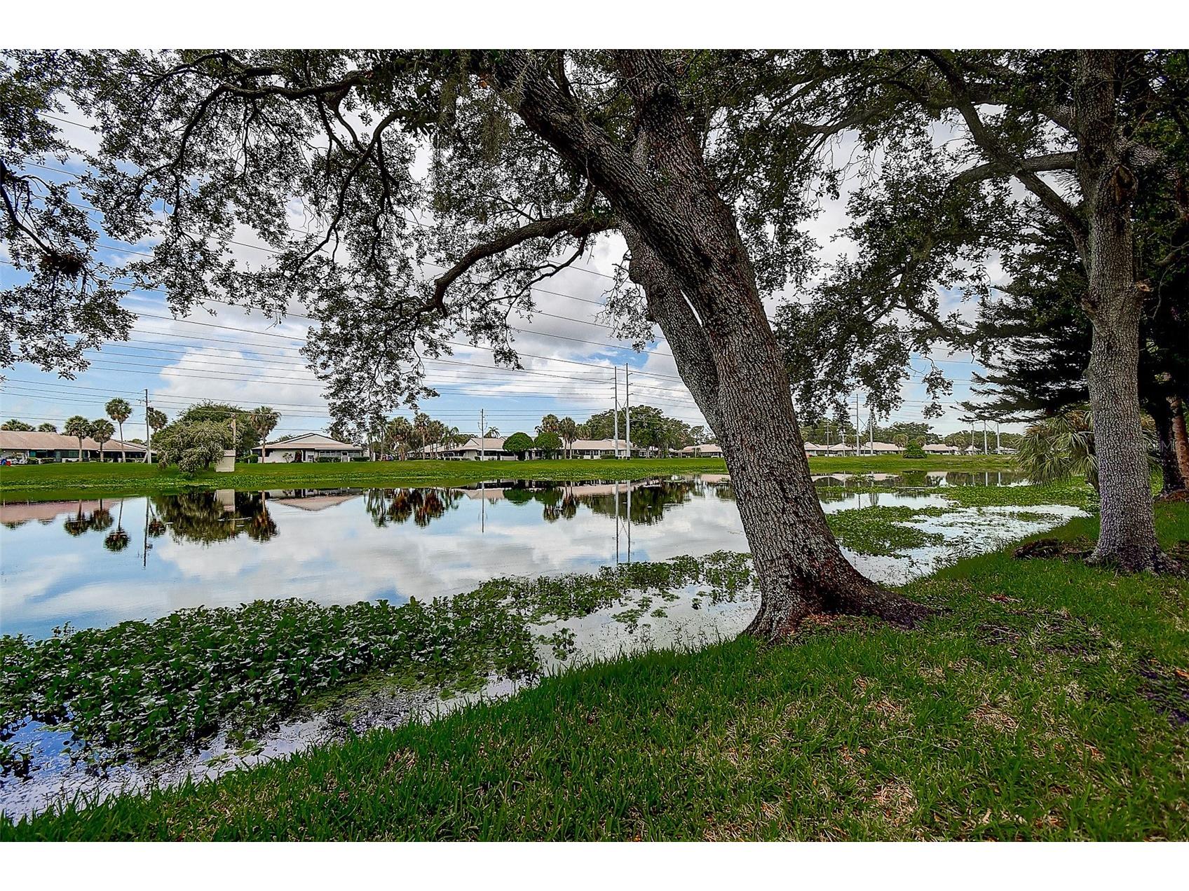 1439 Water View Drive W Largo FL 33771 TB8528906 image29