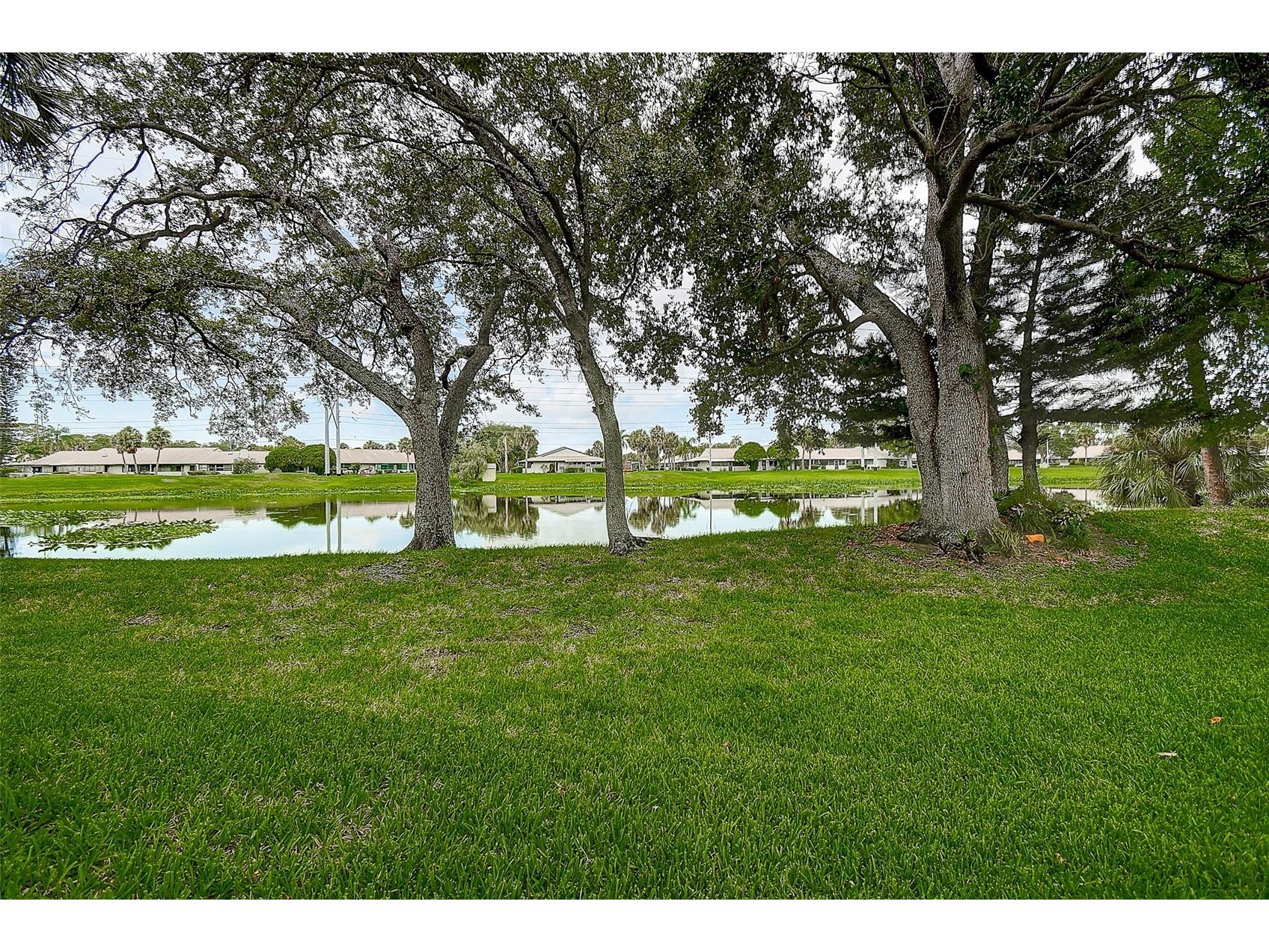 1439 Water View Drive W Largo FL 33771 TB8528906 image40