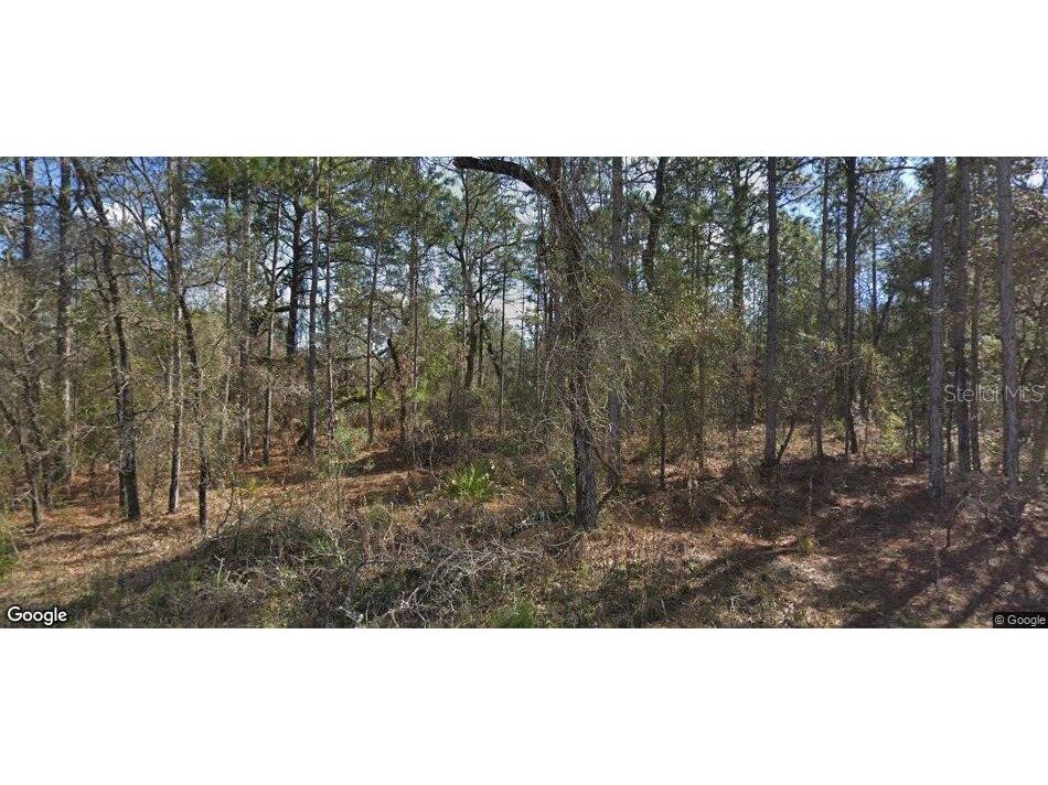 14390 English Sparrow Road Weeki Wachee FL 34614 TB8514171 image1