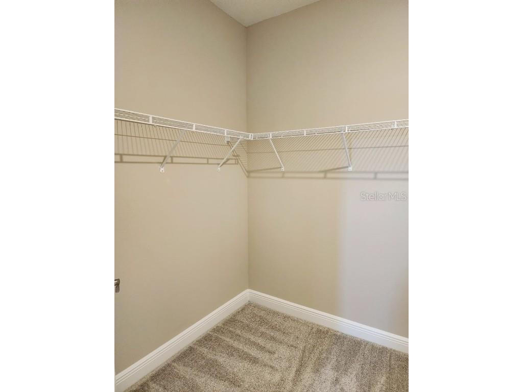 14391 Braemar Street Winter Garden FL 34787 O6364112 image25