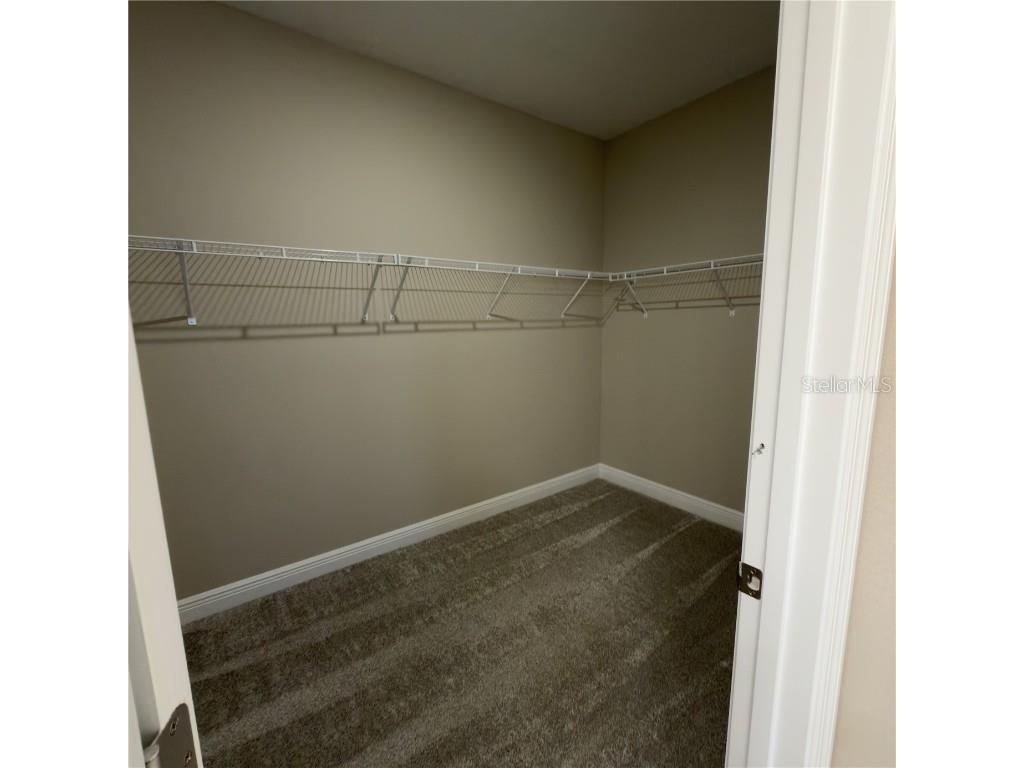 14391 Braemar Street Winter Garden FL 34787 O6364112 image28