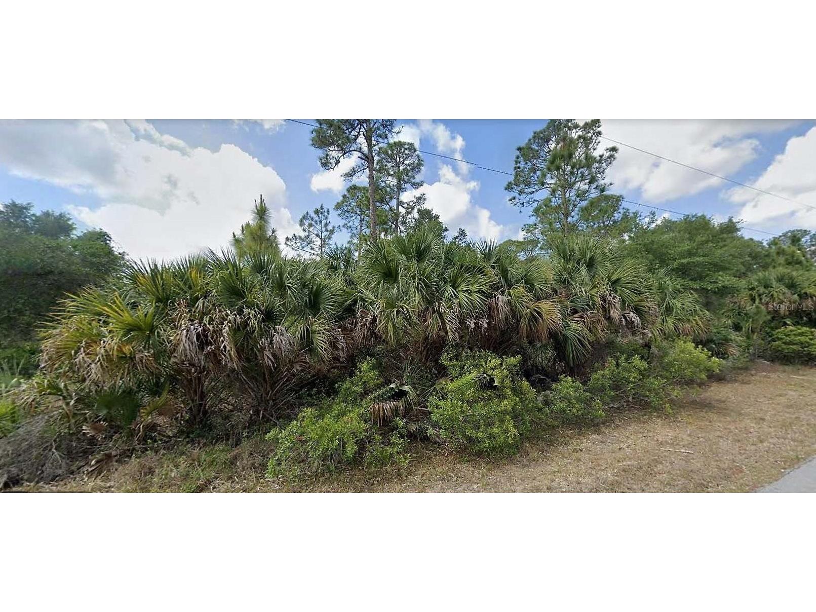 14391 Carousel Lane Port Charlotte FL 33953 D6131301 image1