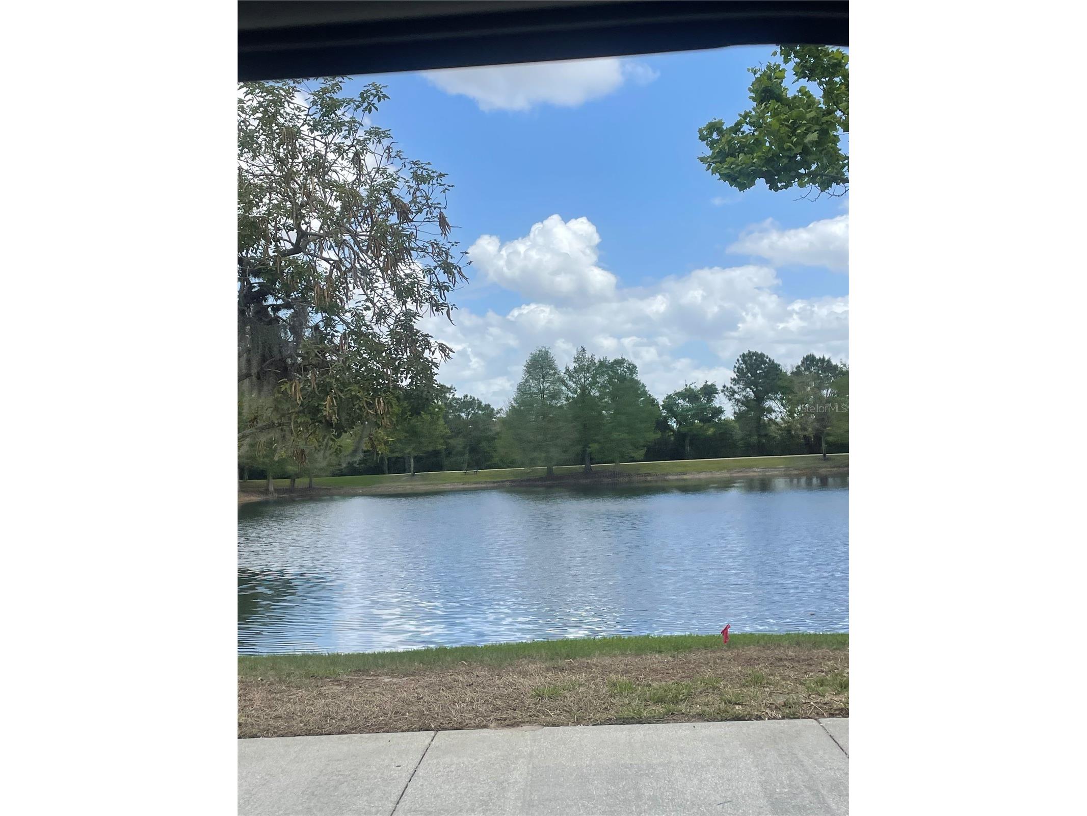 14392 Bridgewater Crossings Boulevard Windermere FL 34786 O6413077 image38