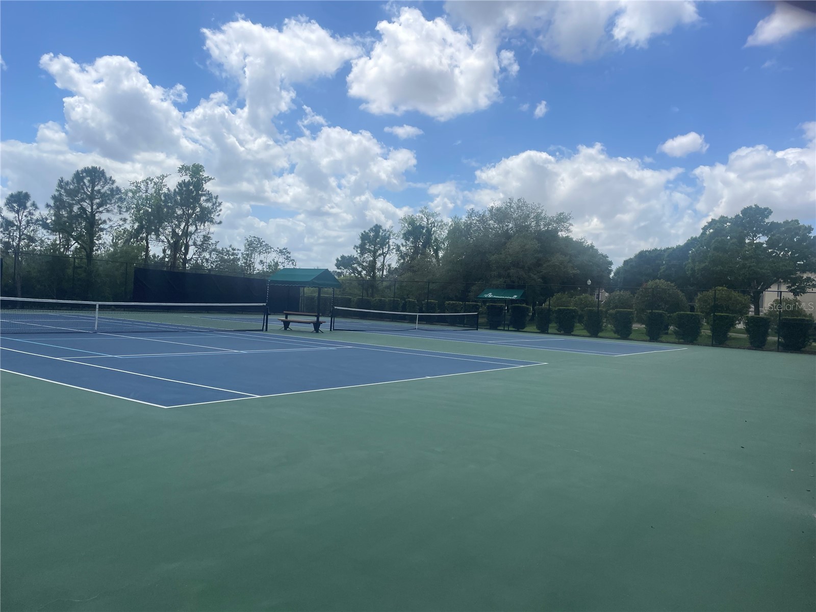 14392 Bridgewater Crossings Boulevard Windermere FL 34786 O6413077 image49