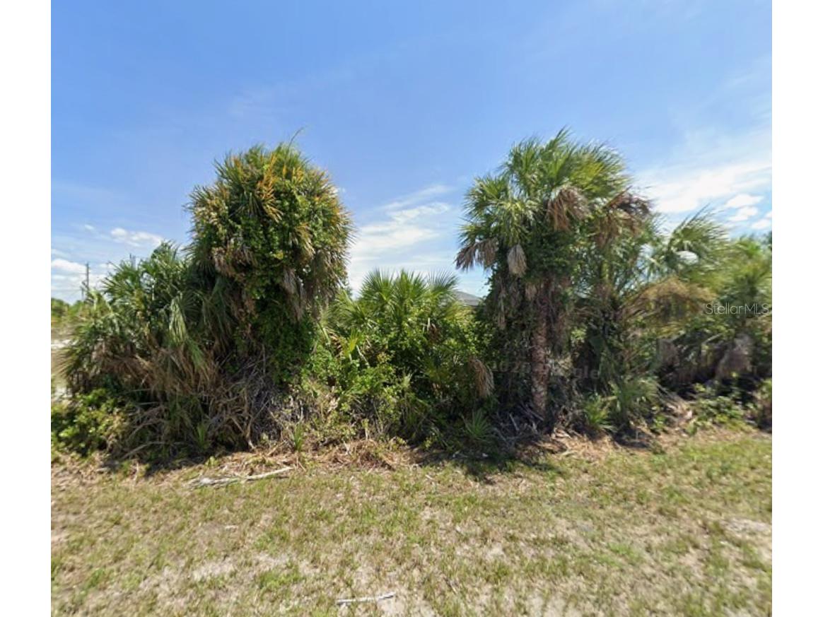 14393 Fort Myers Avenue Port Charlotte FL 33981 C7523319 image3