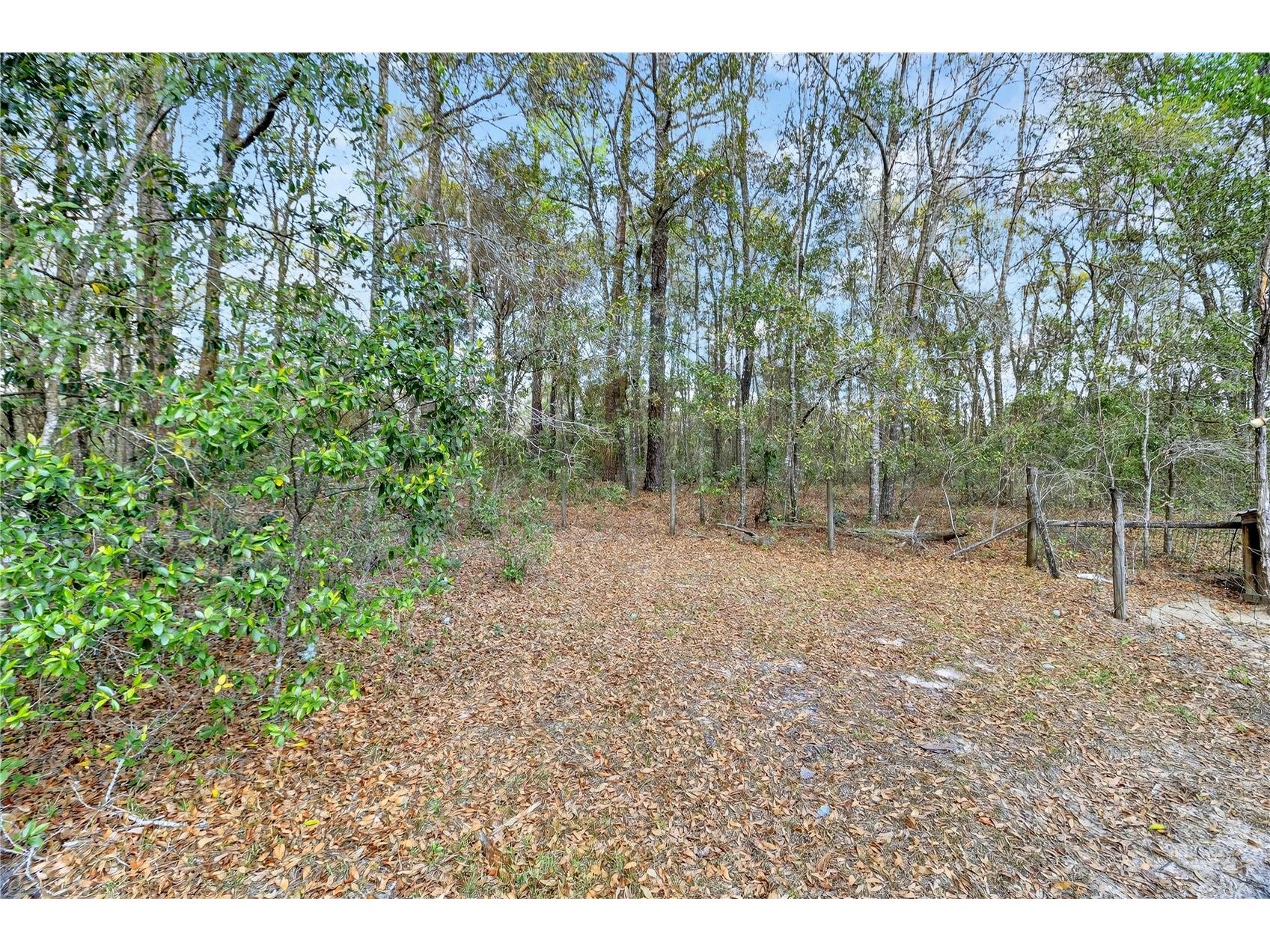 14395 NE 50th Place Williston FL 32696 GC539543 image23