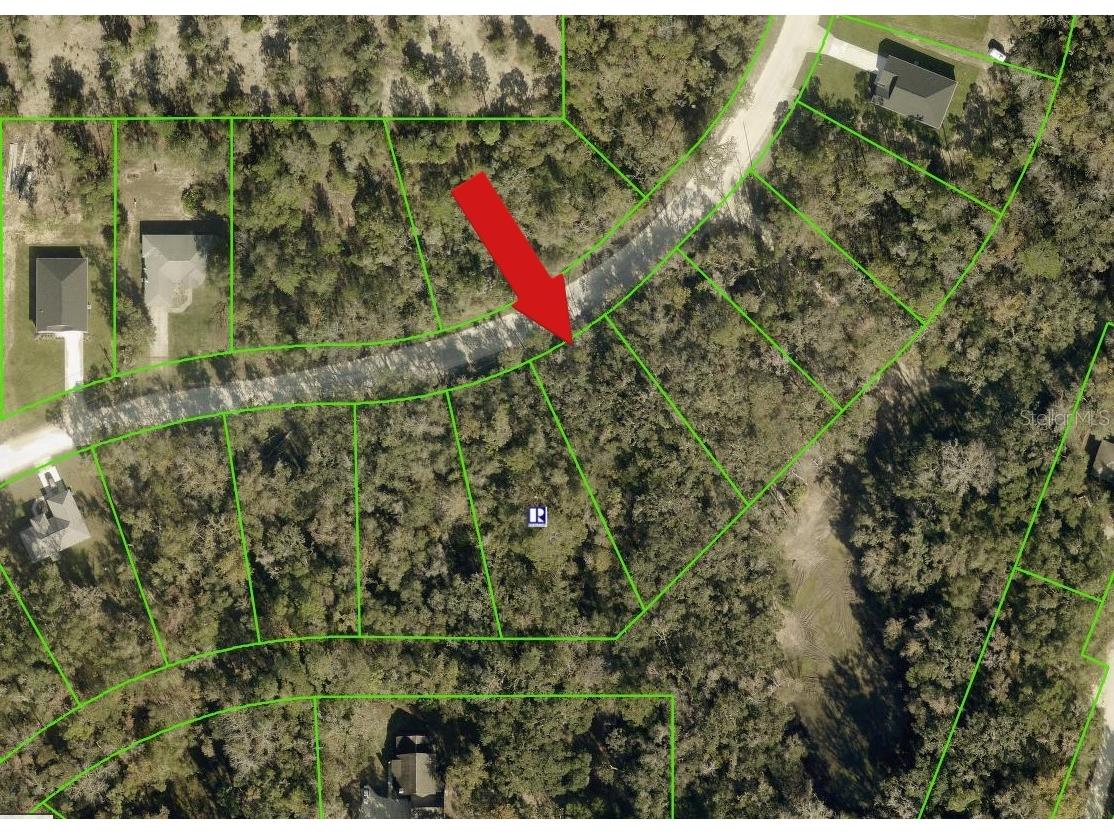 14398 Chimney Swift Road Weeki Wachee FL 34614 A4695924 image1