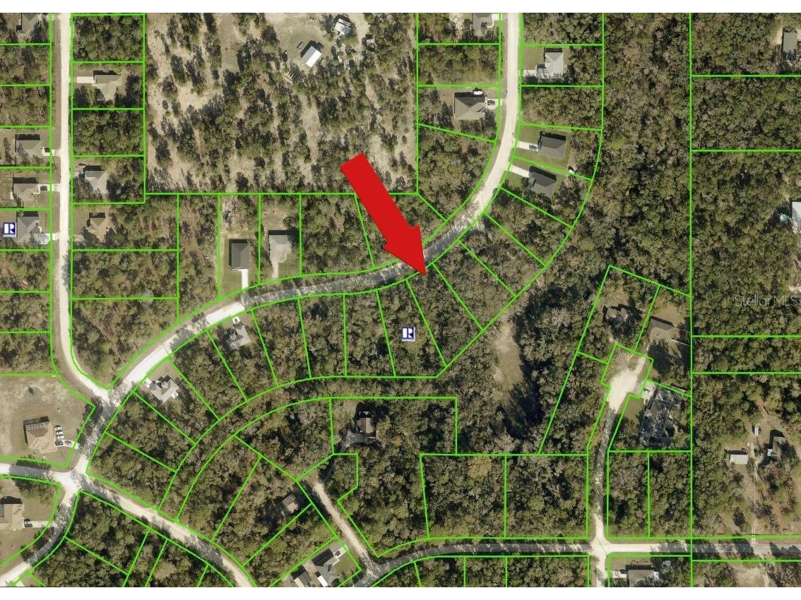 14398 Chimney Swift Road Weeki Wachee FL 34614 A4695924 image2