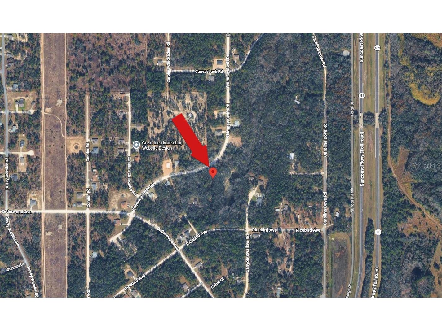 14398 Chimney Swift Road Weeki Wachee FL 34614 A4695924 image3