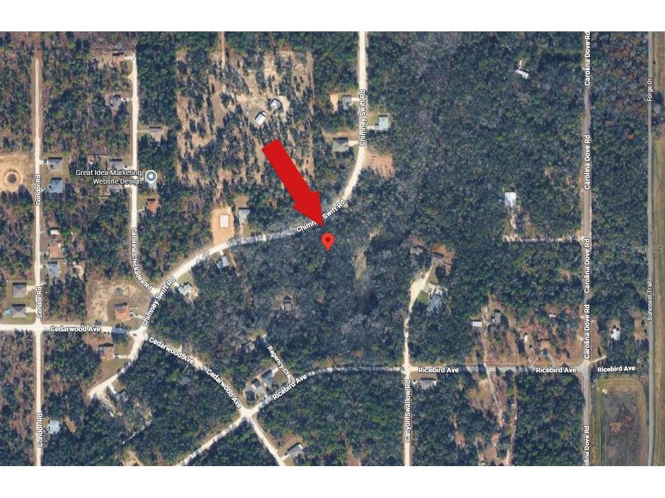 14398 Chimney Swift Road Weeki Wachee FL 34614 A4695924 image4