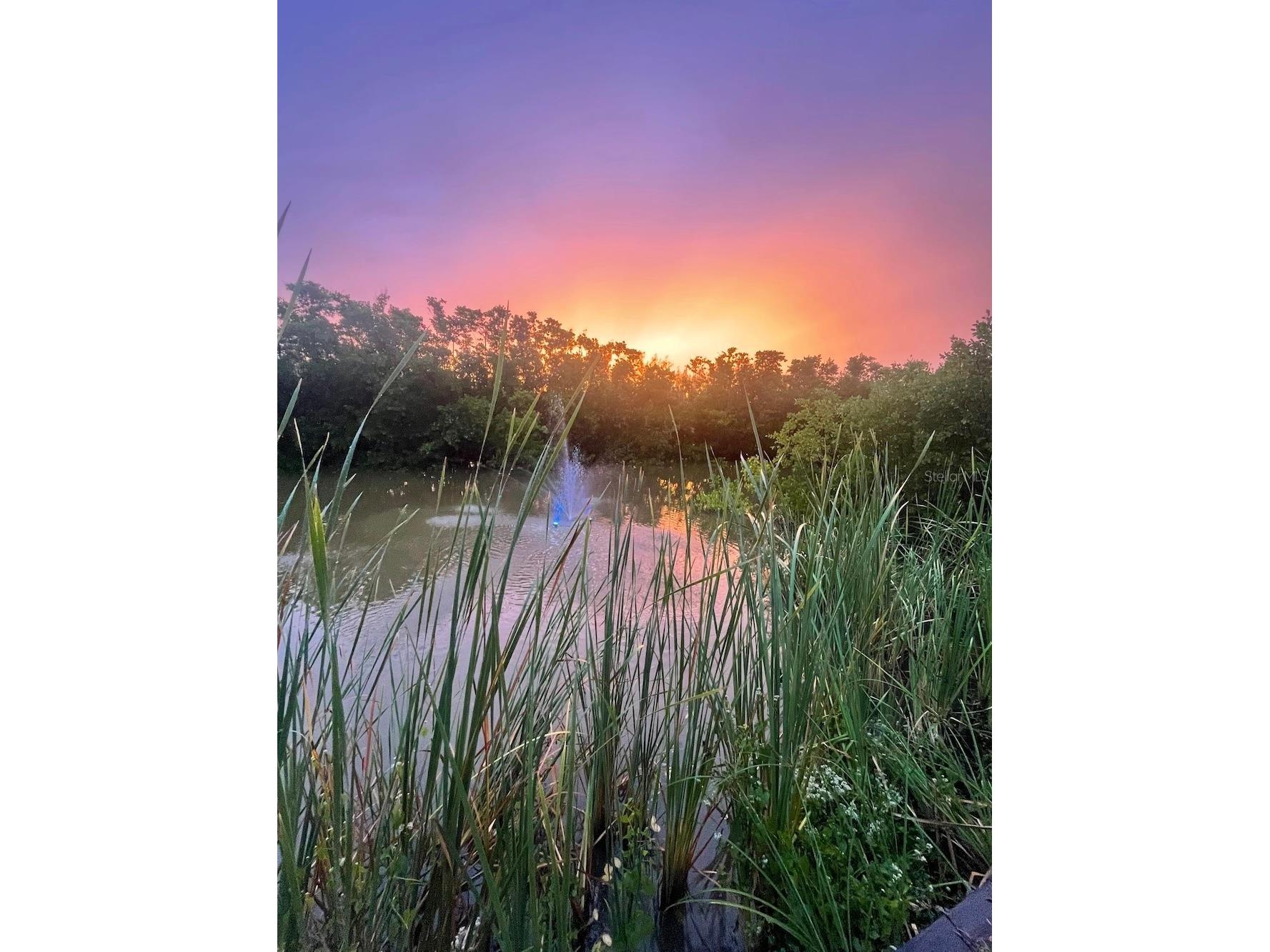 14399 Tamarac Drive Bokeelia FL 33922 TB8452928 image26