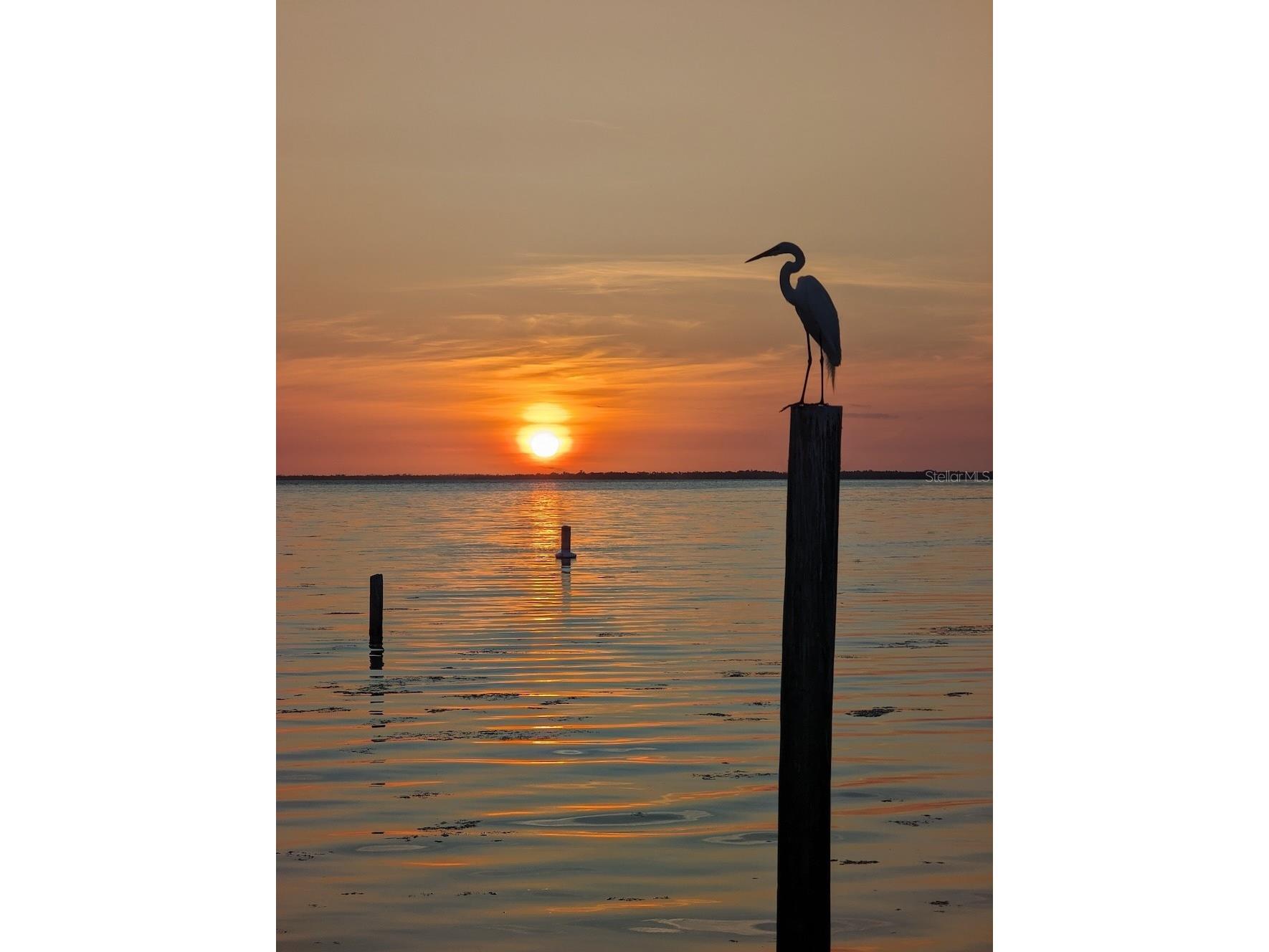 14399 Tamarac Drive Bokeelia FL 33922 TB8452928 image32