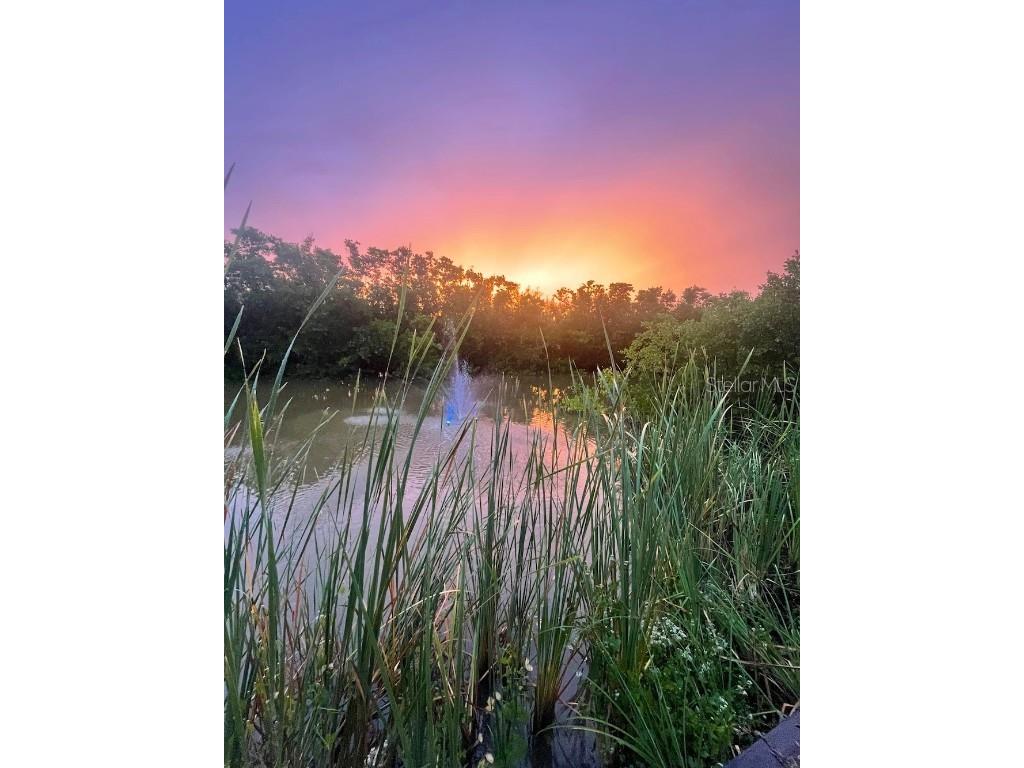 14399 Tamarac Drive Bokeelia FL 33922 TB8452928 image55