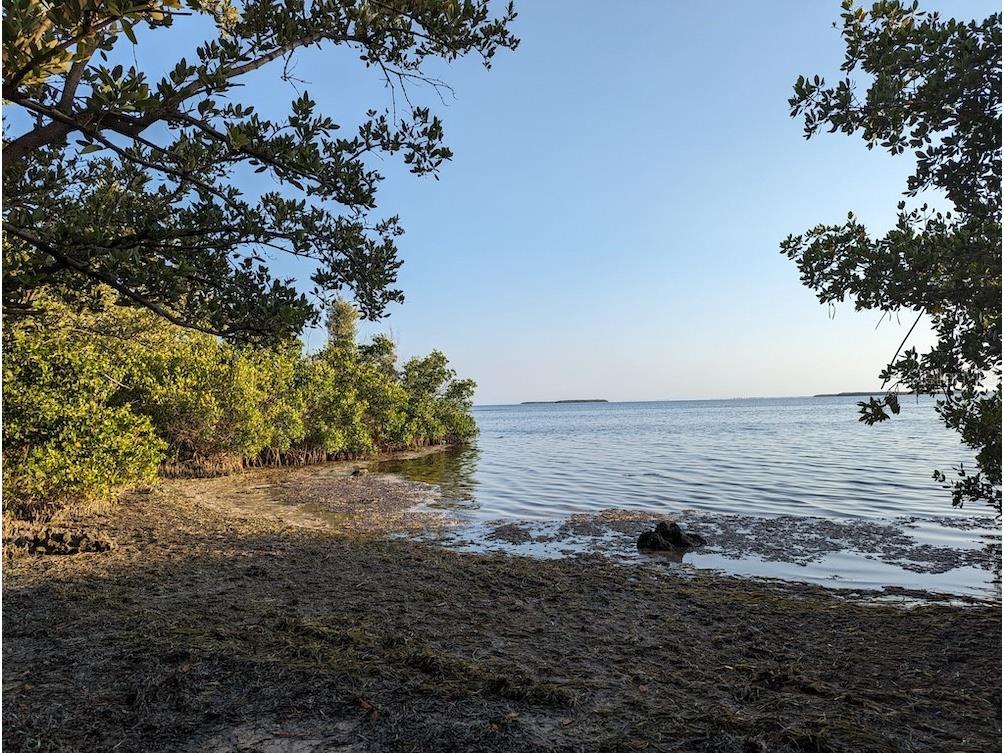 14399 Tamarac Drive Bokeelia FL 33922 TB8452928 image66