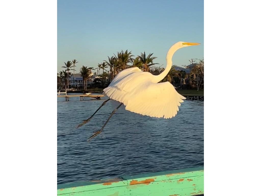 14399 Tamarac Drive Bokeelia FL 33922 TB8452928 image70