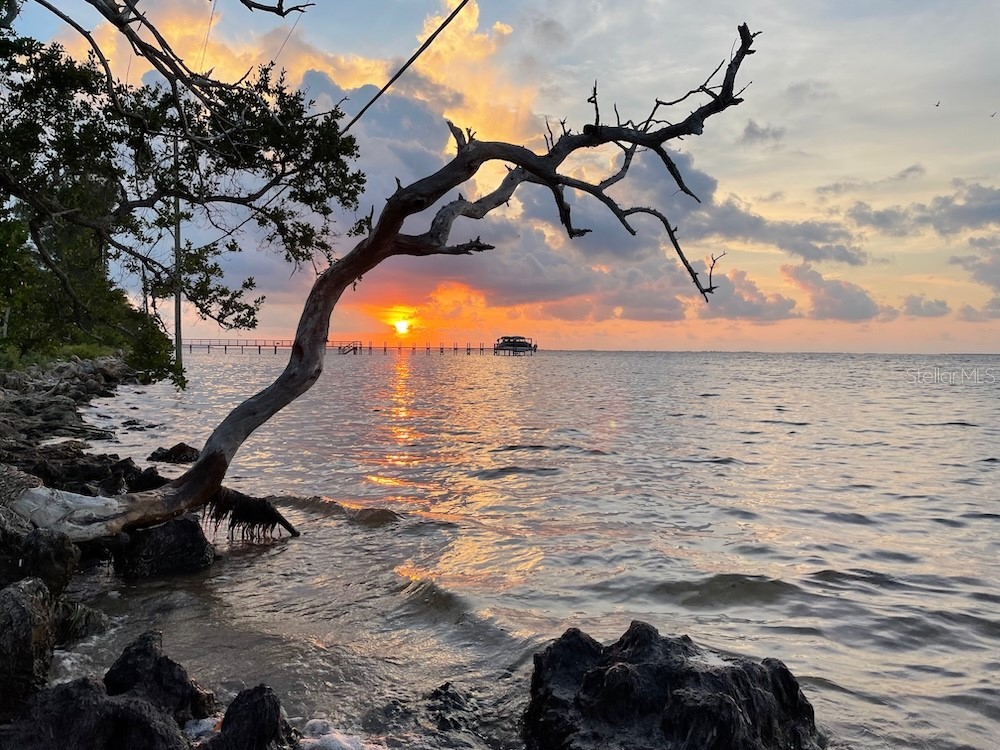 14399 Tamarac Drive Bokeelia FL 33922 TB8452928 image71