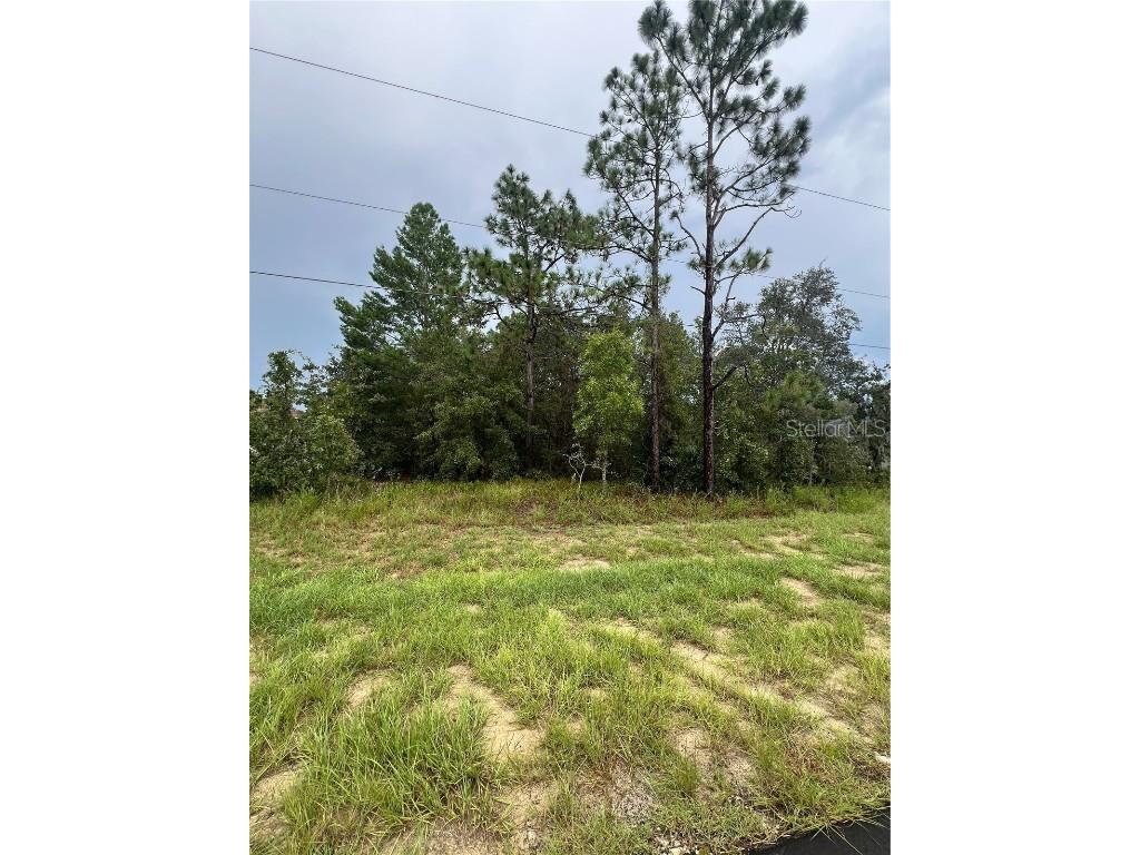 143rd SW Lane Road Ocala FL 34473 OM708107 image1