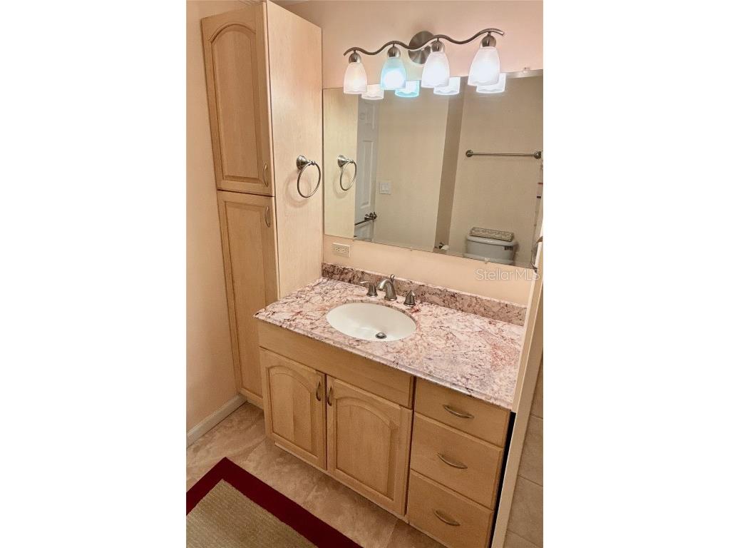 144 Americana Court NE #218 Saint Petersburg FL 33702 - TAMPA BAY TB8425095 image22