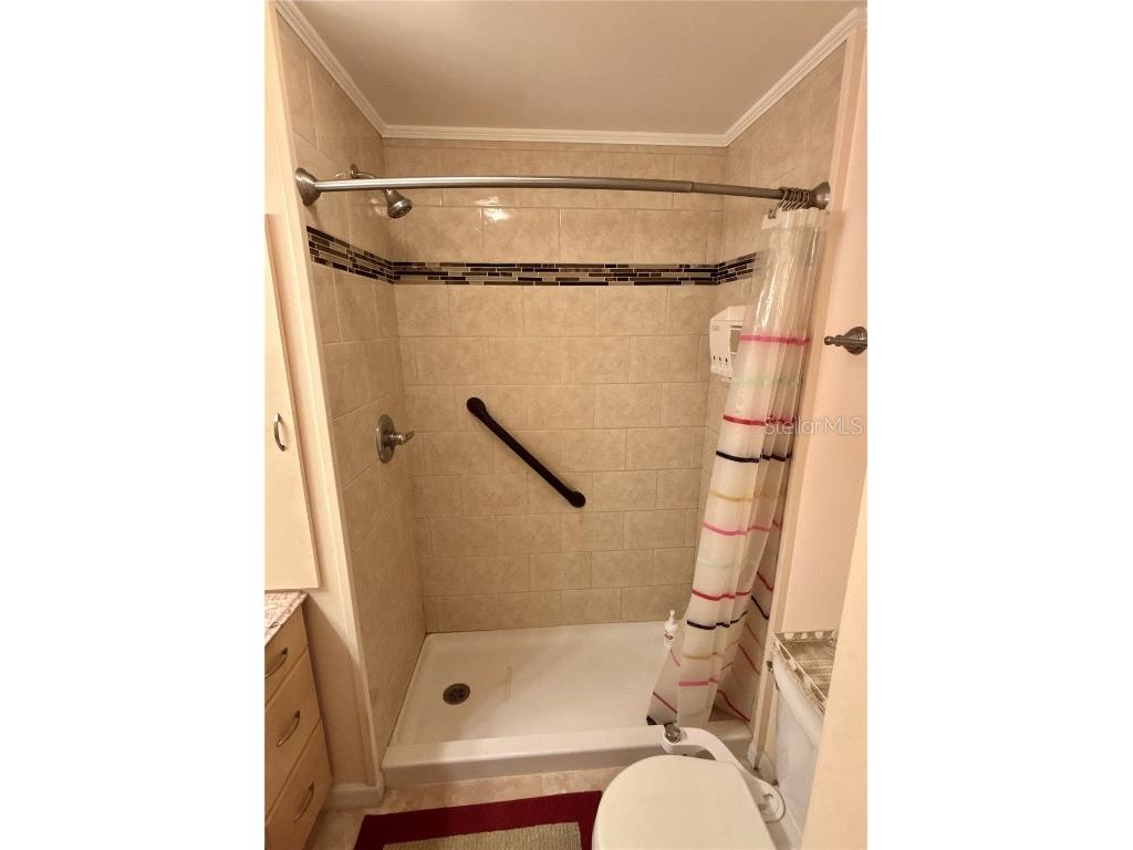 144 Americana Court NE #218 Saint Petersburg FL 33702 - TAMPA BAY TB8425095 image23